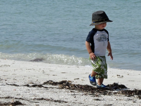 little boy on the beach